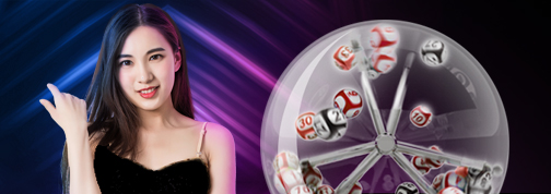 24dspin