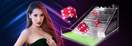 pokerdice